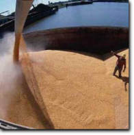 Management of dust and particles during the unloading of cereals